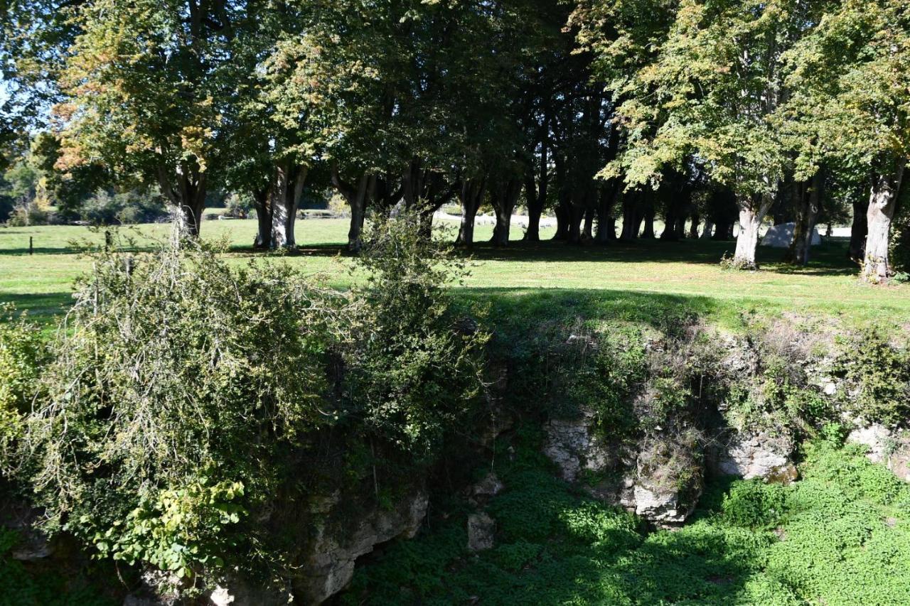 Un Chateau En Bourgogne Saincaize-Meauce Exteriér fotografie