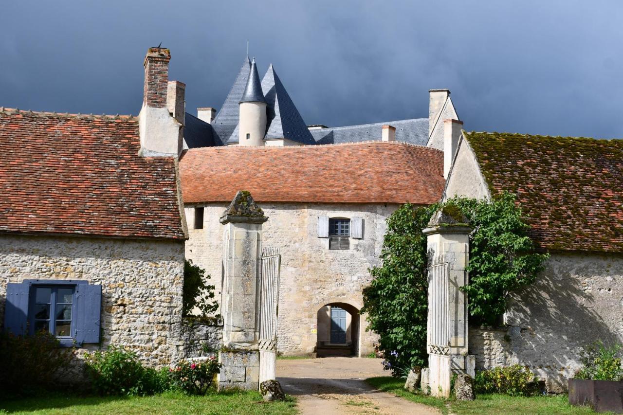 Un Chateau En Bourgogne Saincaize-Meauce Exteriér fotografie