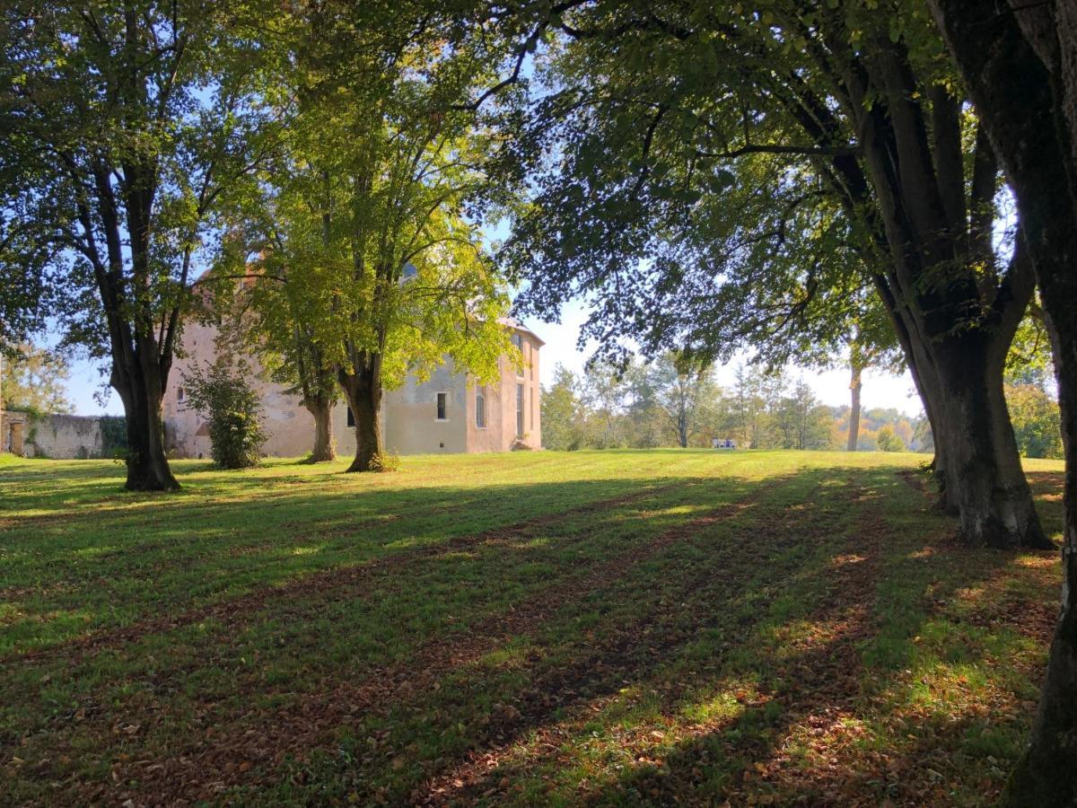 Un Chateau En Bourgogne Saincaize-Meauce Exteriér fotografie