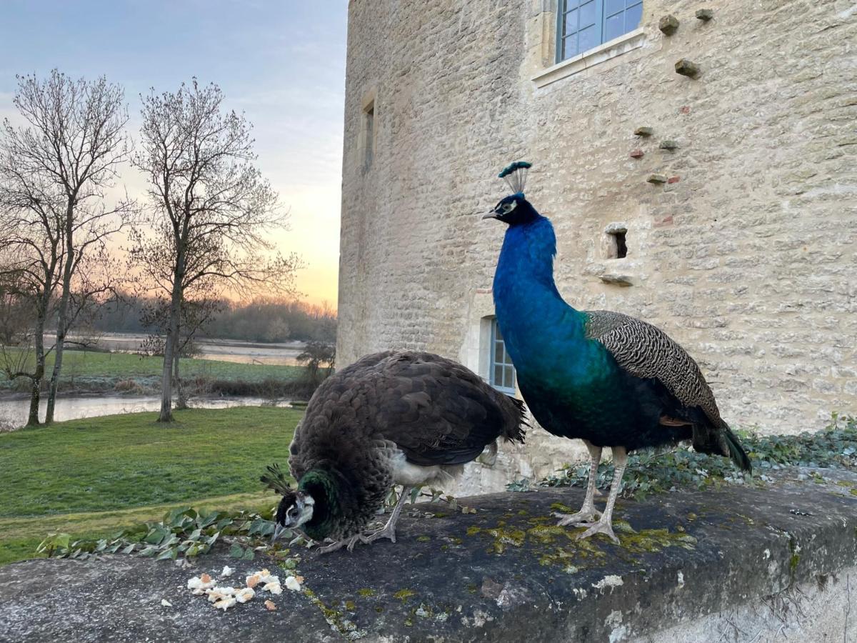 Un Chateau En Bourgogne Saincaize-Meauce Exteriér fotografie